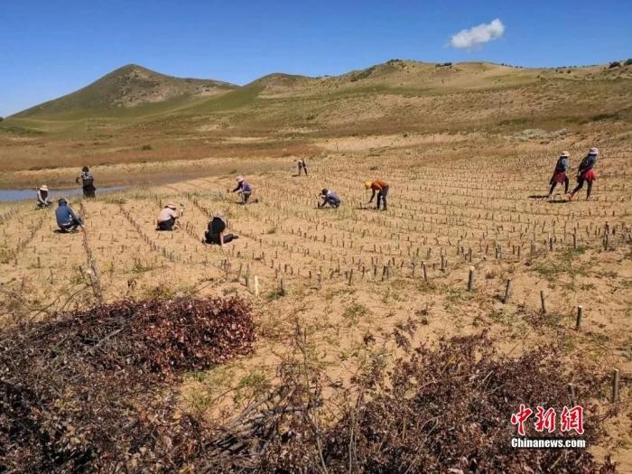 點(diǎn)擊進(jìn)入下一頁