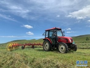 內(nèi)蒙古興安盟:草原打草忙