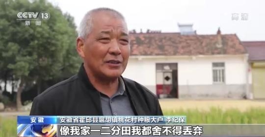 十八連豐！秋收近九成 我國糧食產(chǎn)能穩(wěn)步提升