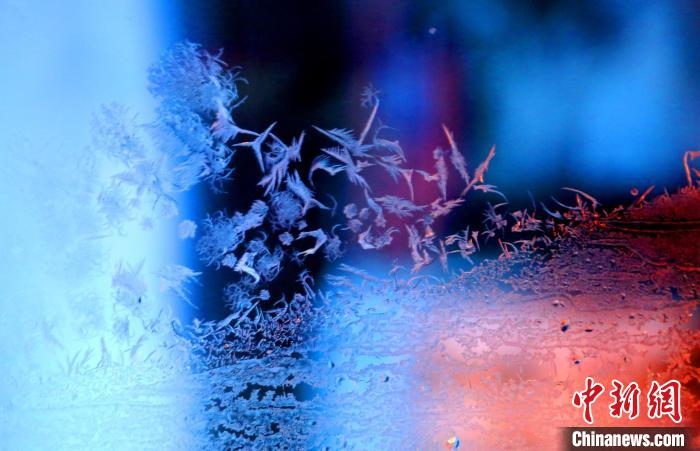 點點冰花像一個個小精靈?！O書程 攝