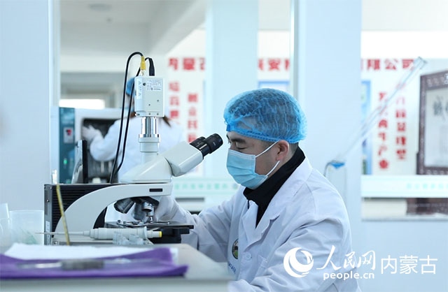 內(nèi)蒙古中農(nóng)興安種?？萍加邢薰韭鋺艨朴抑衅欤瑸槿馀．a(chǎn)業(yè)發(fā)展提供了優(yōu)質(zhì)的種源保障。白俊華攝