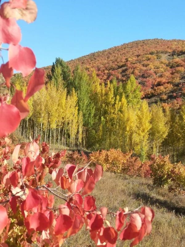 1598443083745632.jpeg WechatIMG1992.jpeg