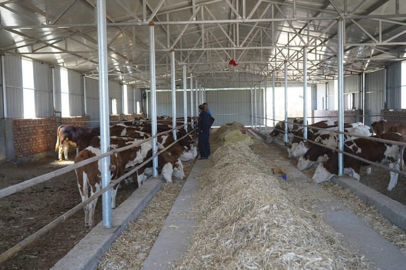 1621998094859087.jpg 微信圖片_20210526105506.jpg