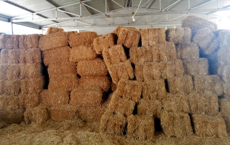 1629103059788912.png 圖片7.png