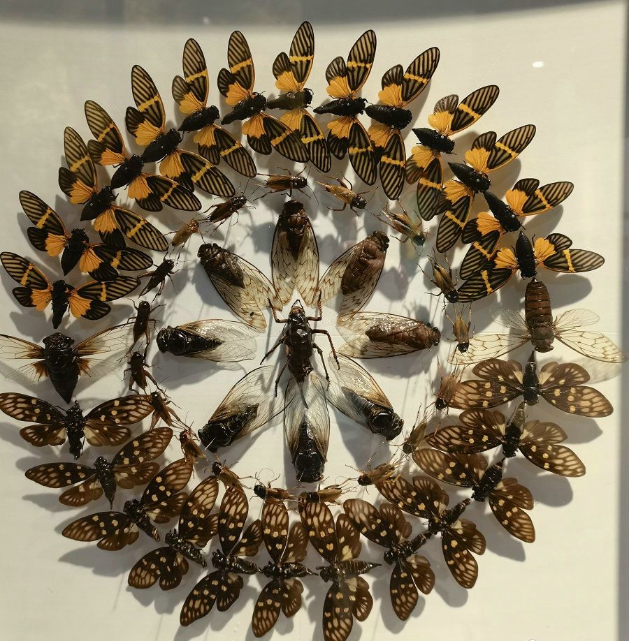 1634618259490648.jpg 001NBZPKly1gtyothnzc0j60p00qgtfc02.jpg