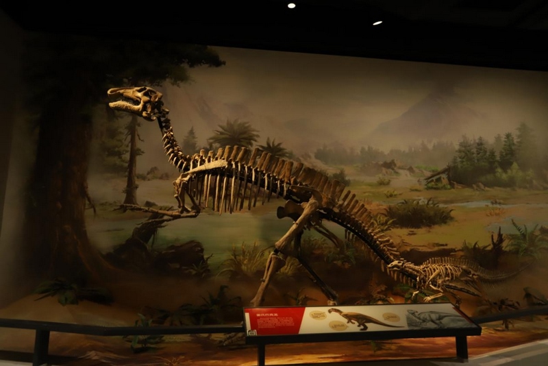 1648201849485785.png 圖片9.png