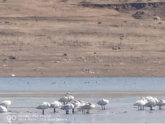 1649316653124413.png 微信圖片_20220407153039.png