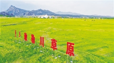 1652672003313185.jpeg 2d91f02f4962f8d3a8bdcc6aceb4cb62.jpeg