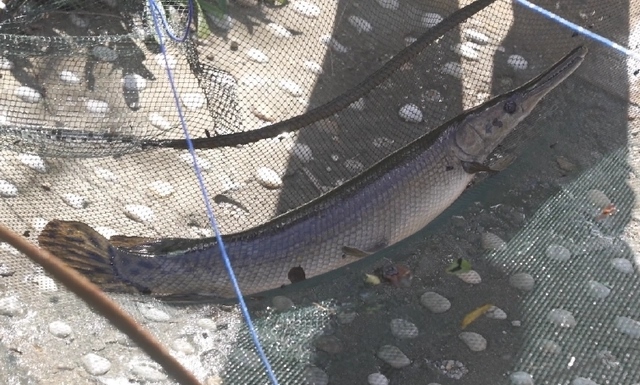 1667095020694532.jpg 38dbb6fd5266d016b502d3e1ec43fa0c34fa3557.webp.jpg