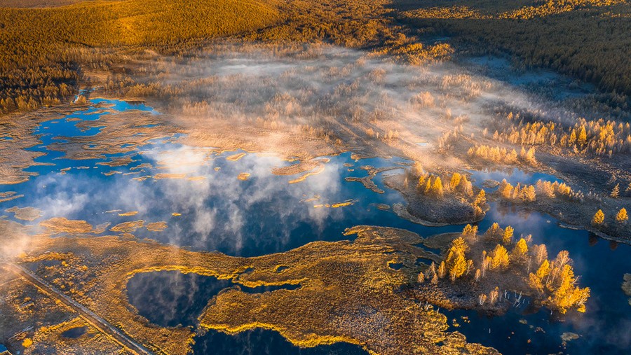 1667391010525633.jpg 02.jpg