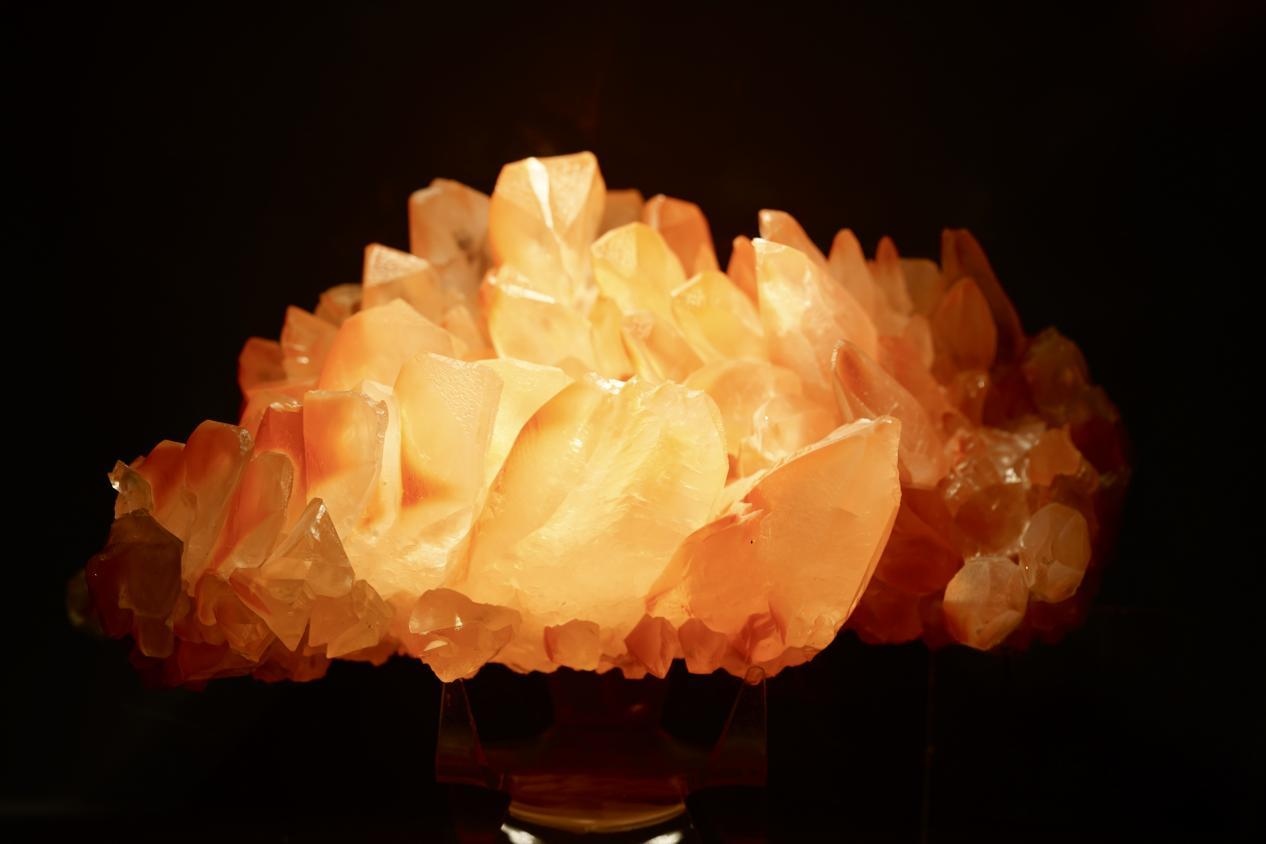 1685415829128733.png 圖片6.png