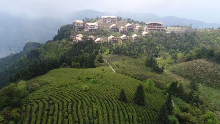 1690274432752195.jpg 微信圖片_20230717114627.jpg