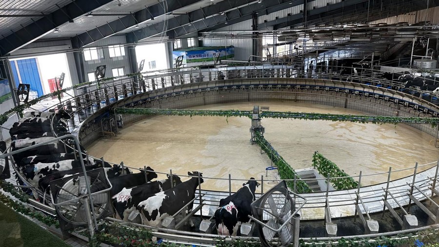 1695260116127399.png 642.png