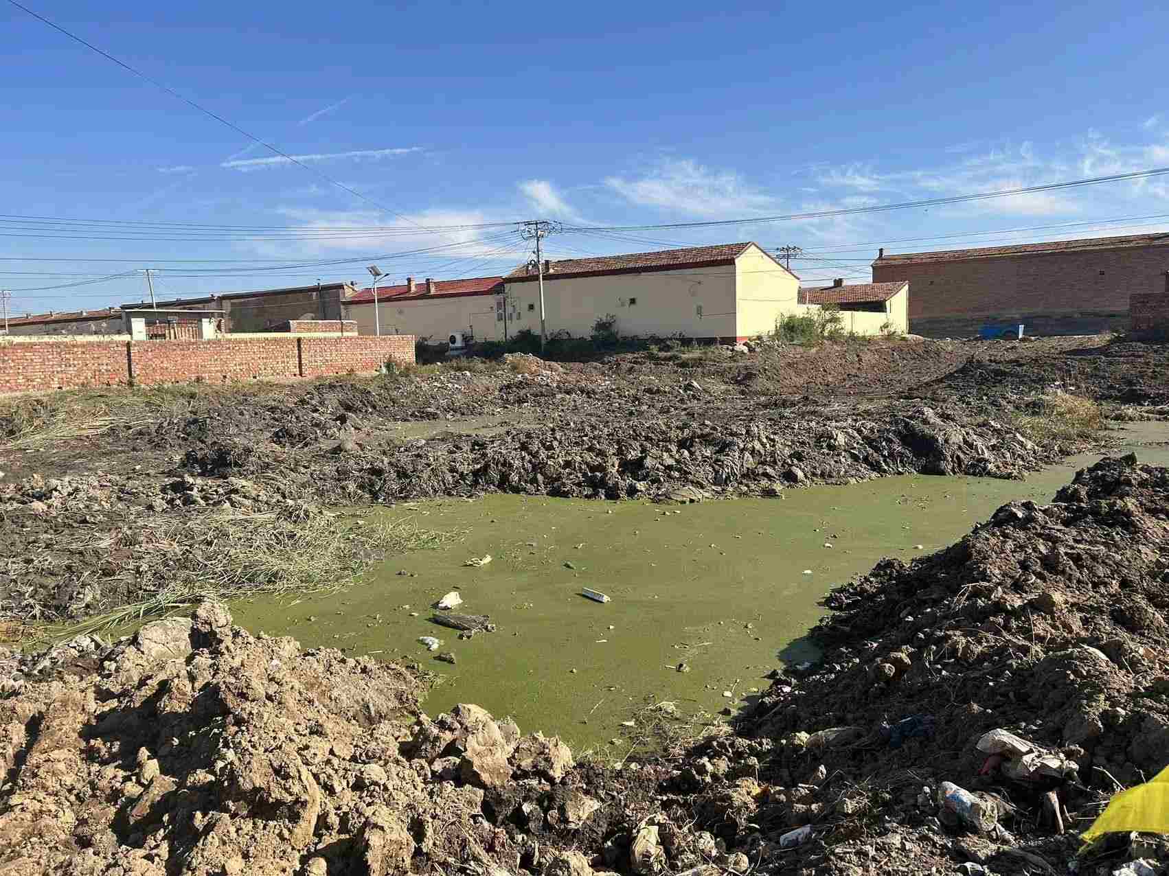 1696680476887401.jpeg 1696680476887401.jpeg