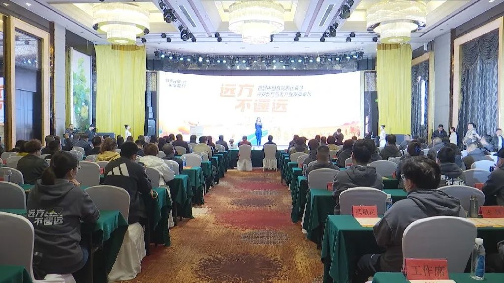 1696991840865842.jpg 28dcd03b59f3a77dbe02ccf58703fcde.jpg