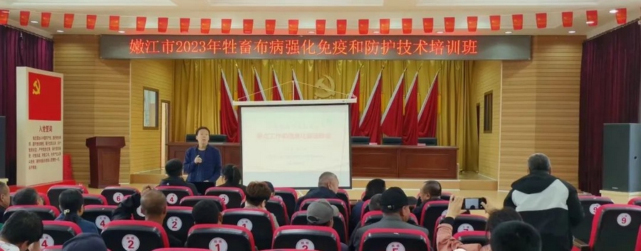 1698118459597969.png 2.png