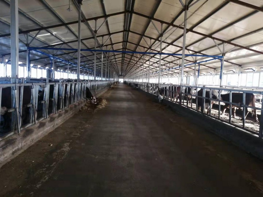 1698118849263483.png 2.png