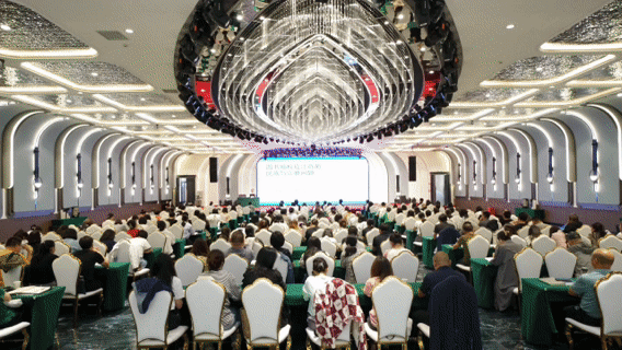 1704107175110204.gif 002.gif