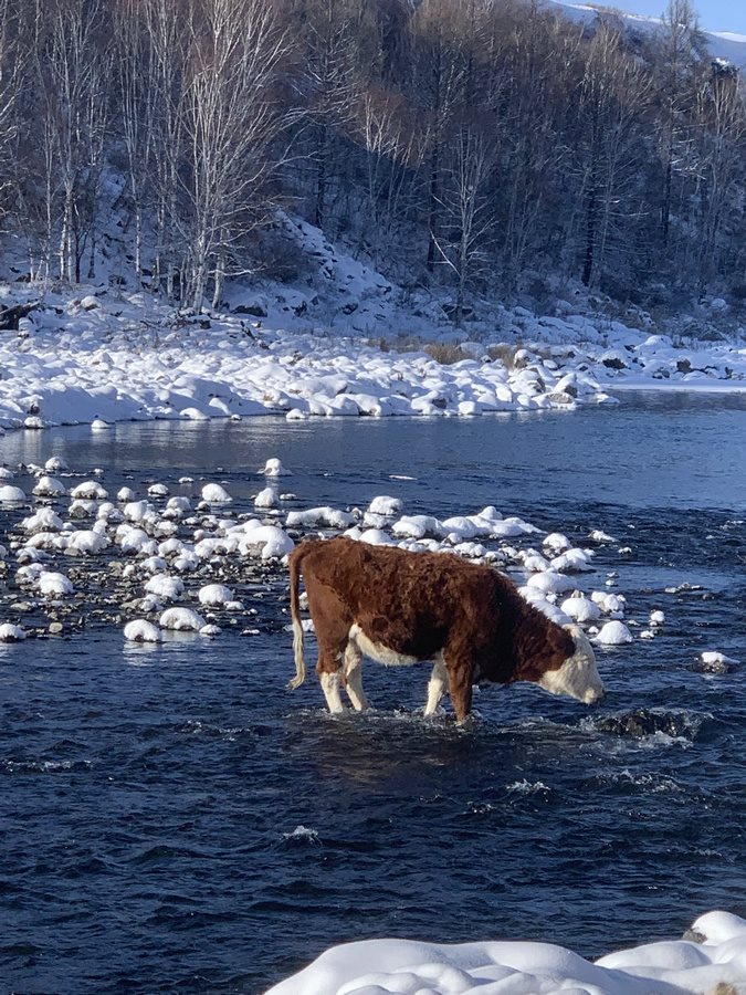 1704529067114924.jpg 006.jpg