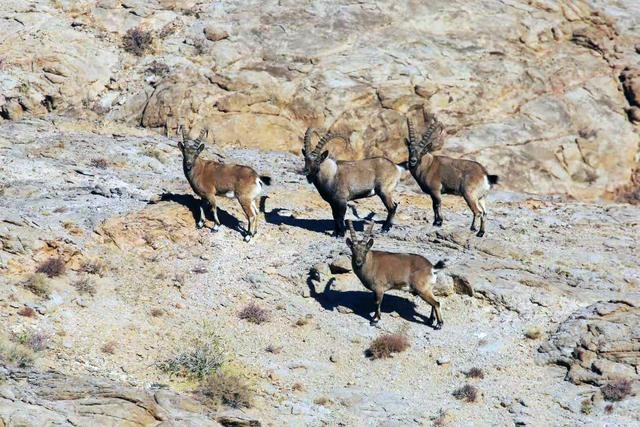 1711009341903667.jpg DM_20240321162116_001.jpg