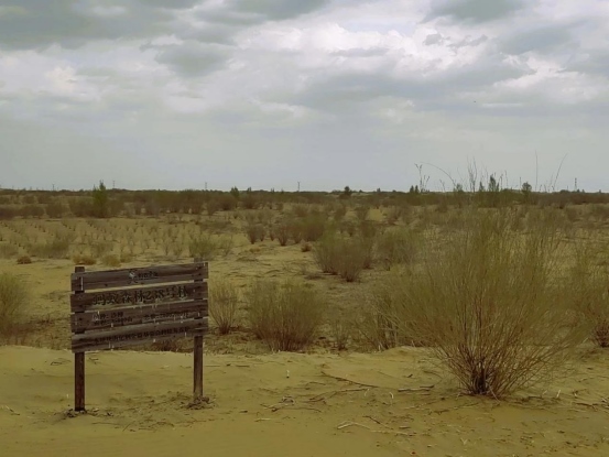 1713783489754992.png 第55個世界地球日529.png