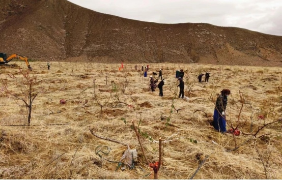 1713783737129977.png 第55個世界地球日2371.png