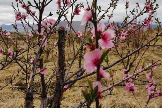 1713783754119253.png 第55個世界地球日2400.png