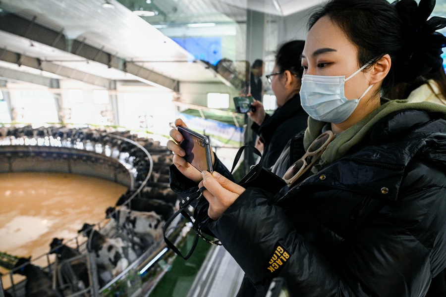 1730957844384445.jpeg WechatIMG4641.jpeg