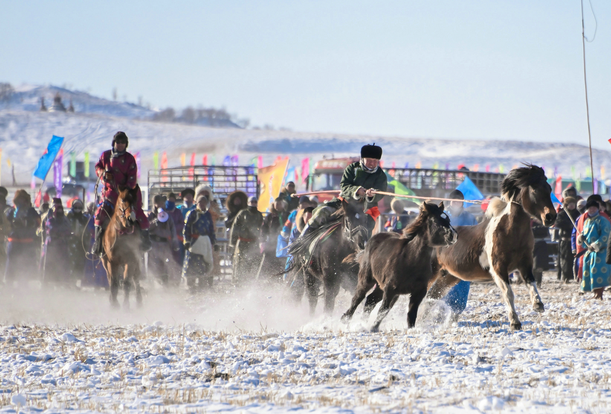 1735376011514401.jpg YJT_7873__24341990.jpg