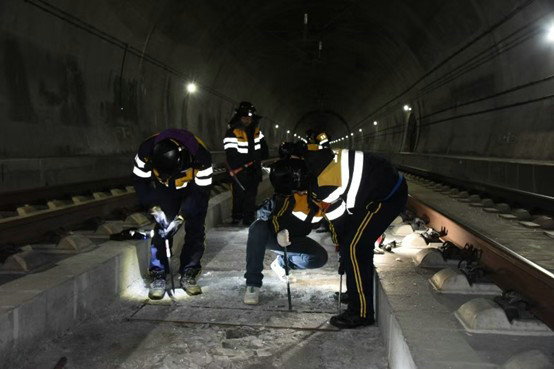 1738394776418010.jpg 11.jpg