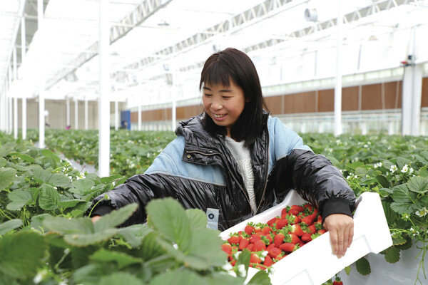 1738812416440042.jpg 大鵬.jpg