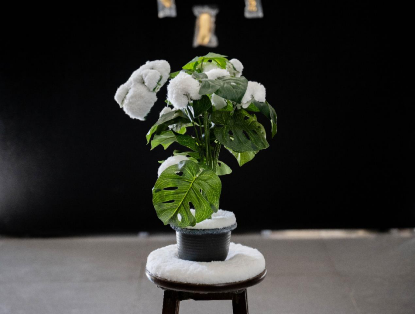 1743165918257157.png 圖片115.png