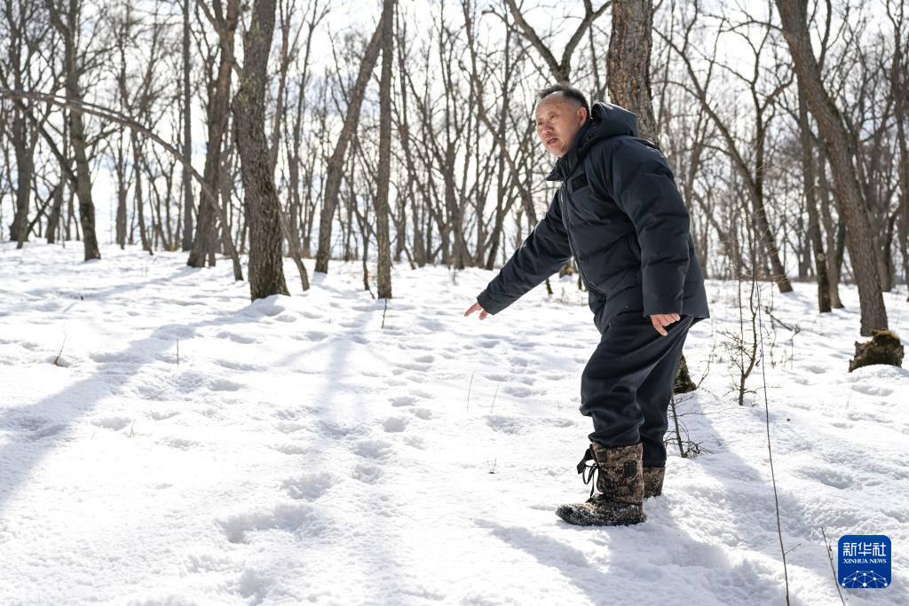 1743493396134973.jpg _DSC3208.jpg