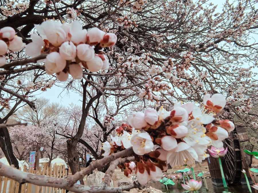 1744972794711229.jpeg WechatIMGbd9d9c53d98e581c19659542f6ff951f.jpeg