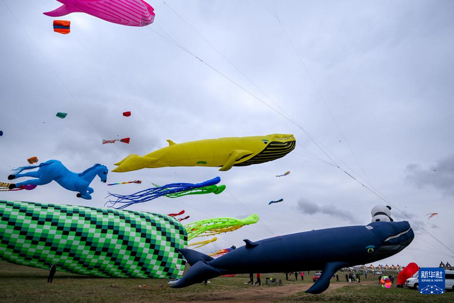 1746337688910552.jpg _DSC3231.jpg