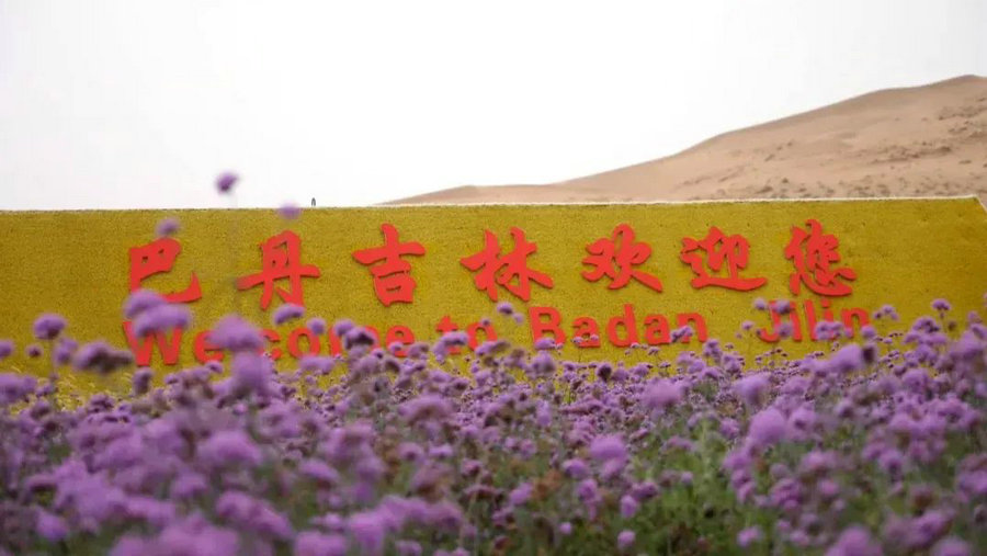 1751686009438063.jpg 640 (79).jpg