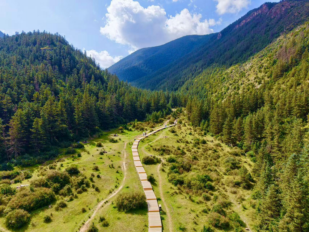 1757577777584500.jpg 155437_461.jpg