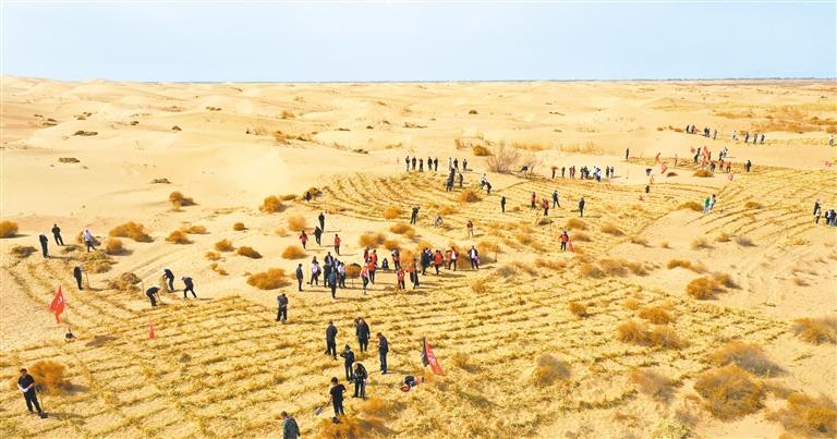 1761541524128221.jpg 202510274966.jpg