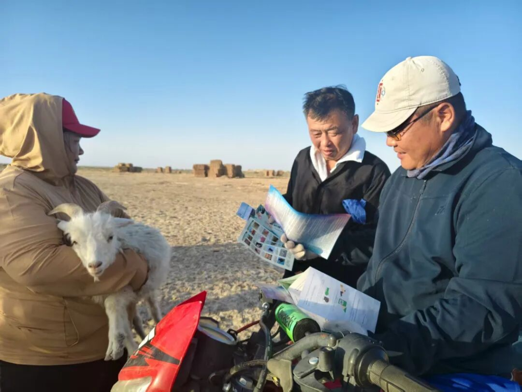 1771391997825220.png _DSC2271.png