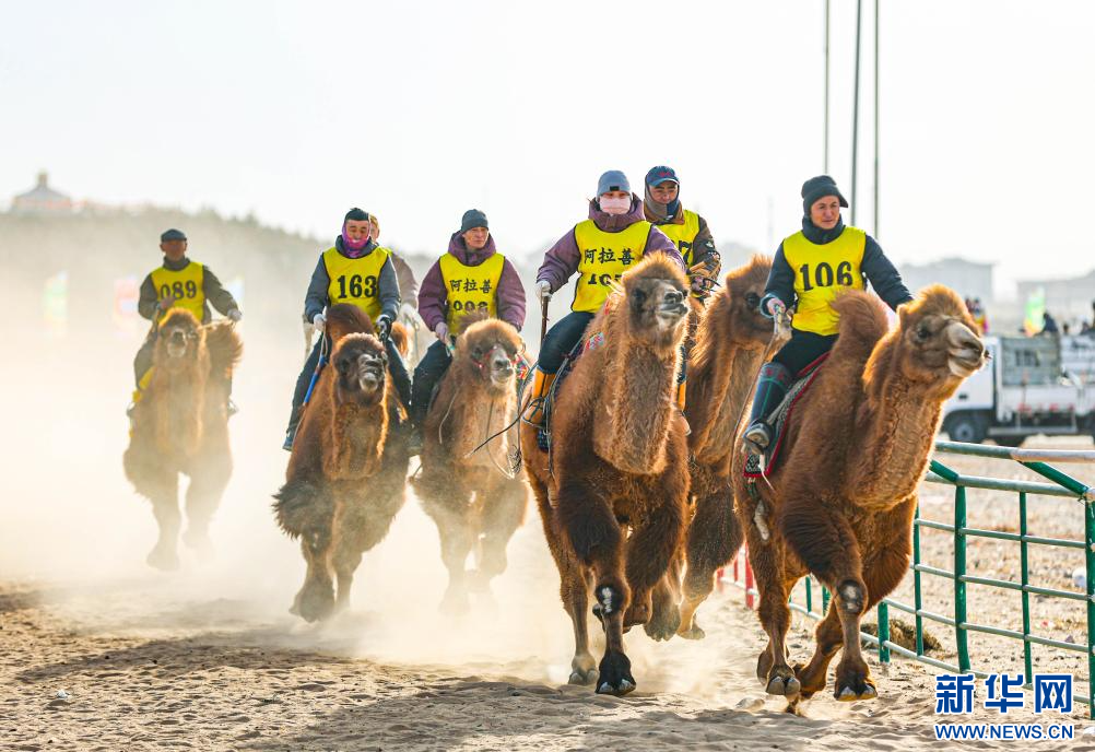 3月7日，賽駝手在6000米成年駱駝場地速度賽比賽中。.jpg