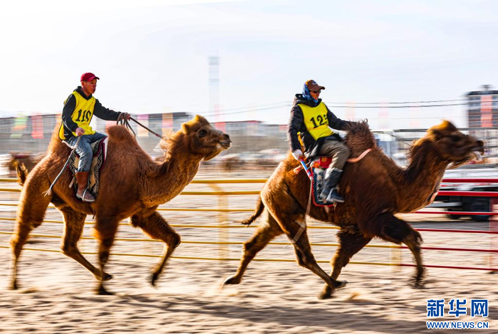 3月7日，賽駝手在6000米成年駱駝場地速度賽比賽中.jpg