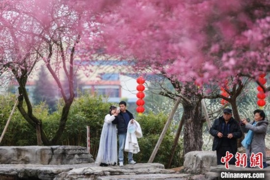 2月23日，市民在乾藝梅園景區(qū)觀賞綻放的梅花。瞿宏倫 攝