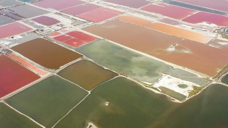 鑒往知來，跟著總書記學歷史丨走進一座博物館，尋根五千年中華文明