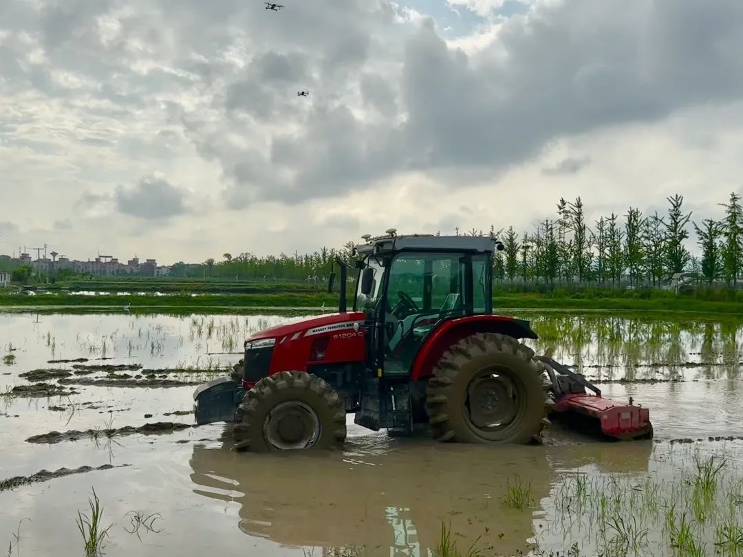 浙江省金華市東陽市城東街道寀盧村的一臺(tái)無人駕駛耕地機(jī)。靜玄 攝