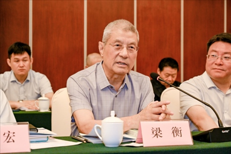 中國林業(yè)生態(tài)作家協(xié)會名譽主席梁衡發(fā)言。主辦方供圖