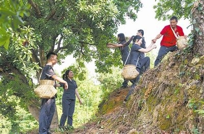 村民幫助志愿者爬上山坡。