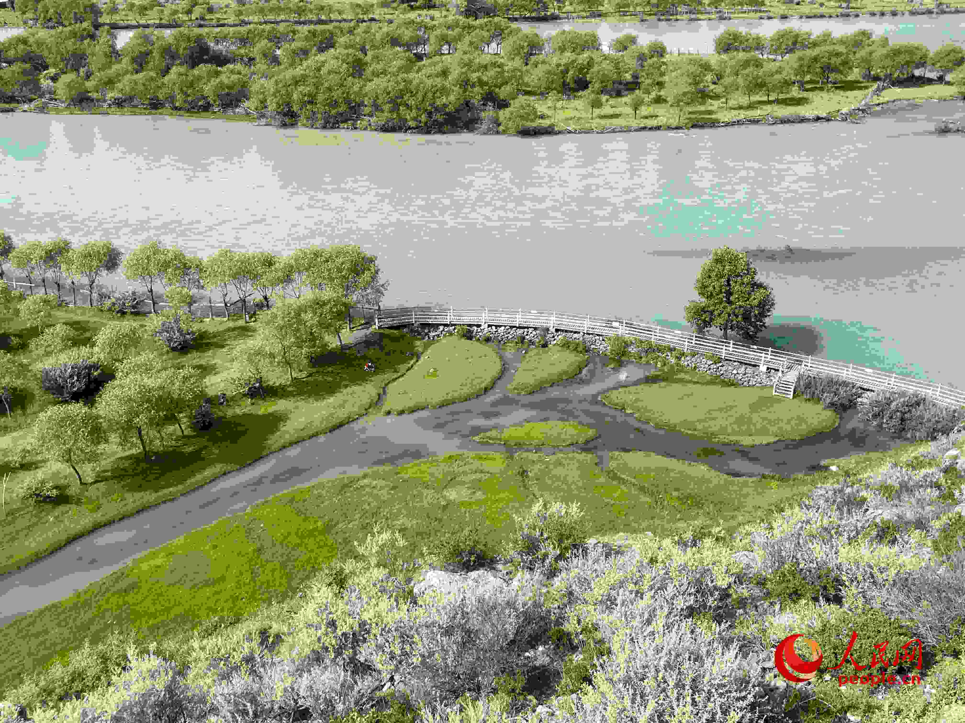 夏日的雅尼國家濕地公園生機盎然，如詩如畫。人民網 周靜圓攝