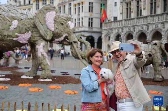 8月11日，觀眾在比利時(shí)布魯塞爾“鮮花時(shí)光”展覽上拍照。新華社記者 趙丁喆攝