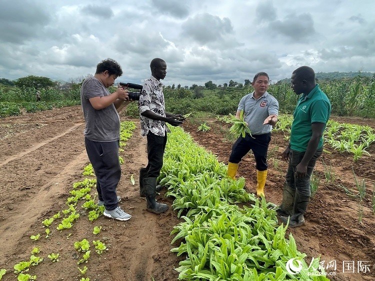 人民網(wǎng)記者走進(jìn)尼日利亞農(nóng)業(yè)技術(shù)示范中心。人民網(wǎng)記者 趙艷紅攝