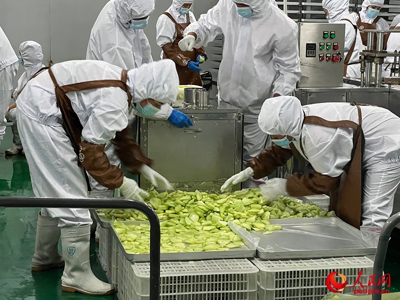 切片哈密瓜將被做成凍干食品。人民網(wǎng)記者 常雪梅攝